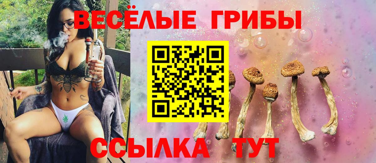 Галлюциногенные грибы ЛСД Сухой Лог
